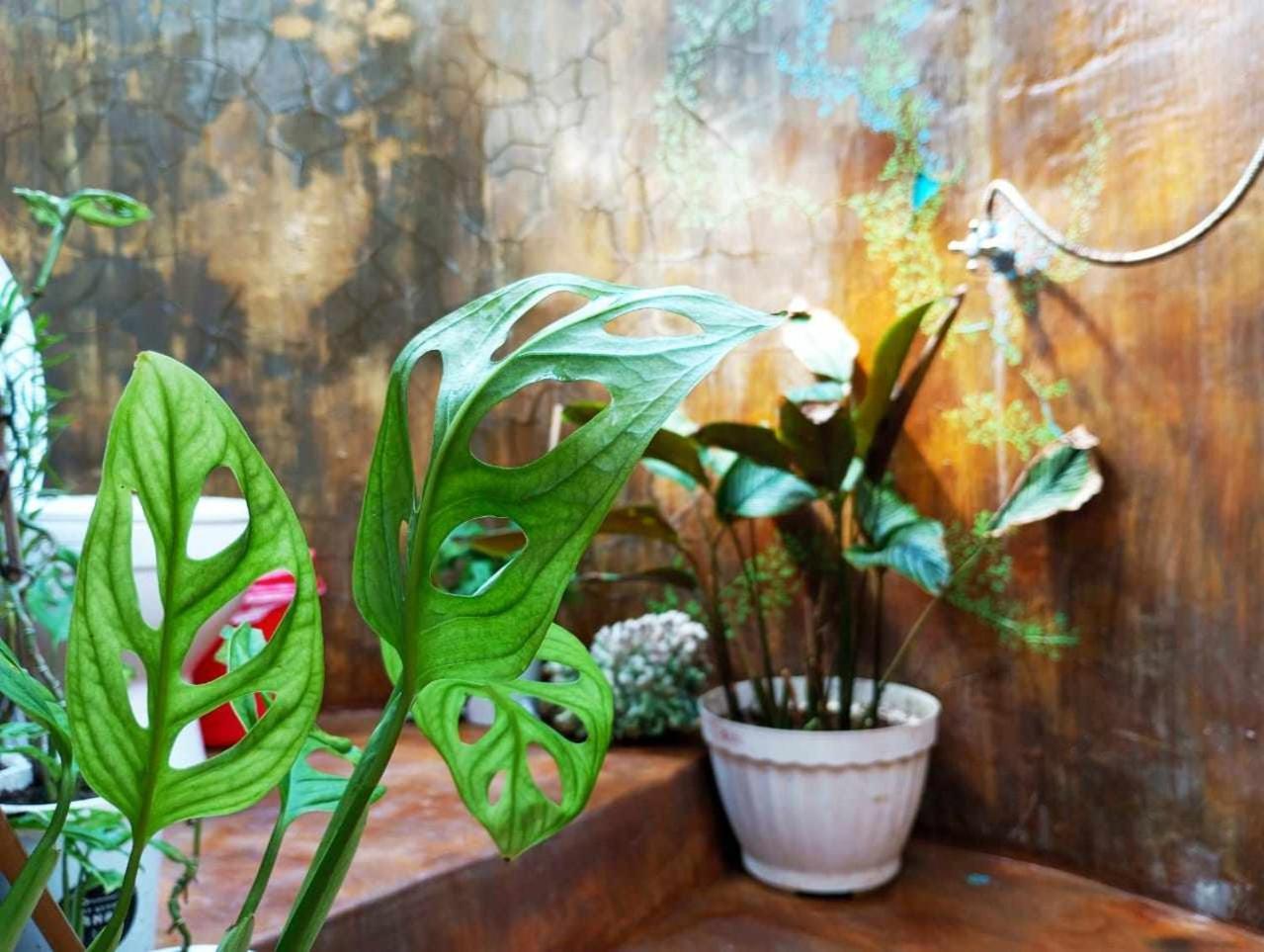 Hostel Uncle Hippie'S Dream Gili Meno Exterior foto