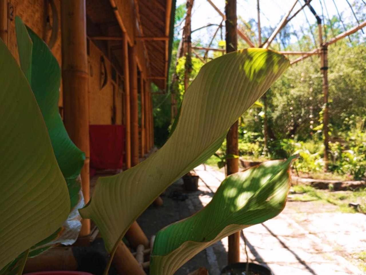 Hostel Uncle Hippie'S Dream Gili Meno Exterior foto