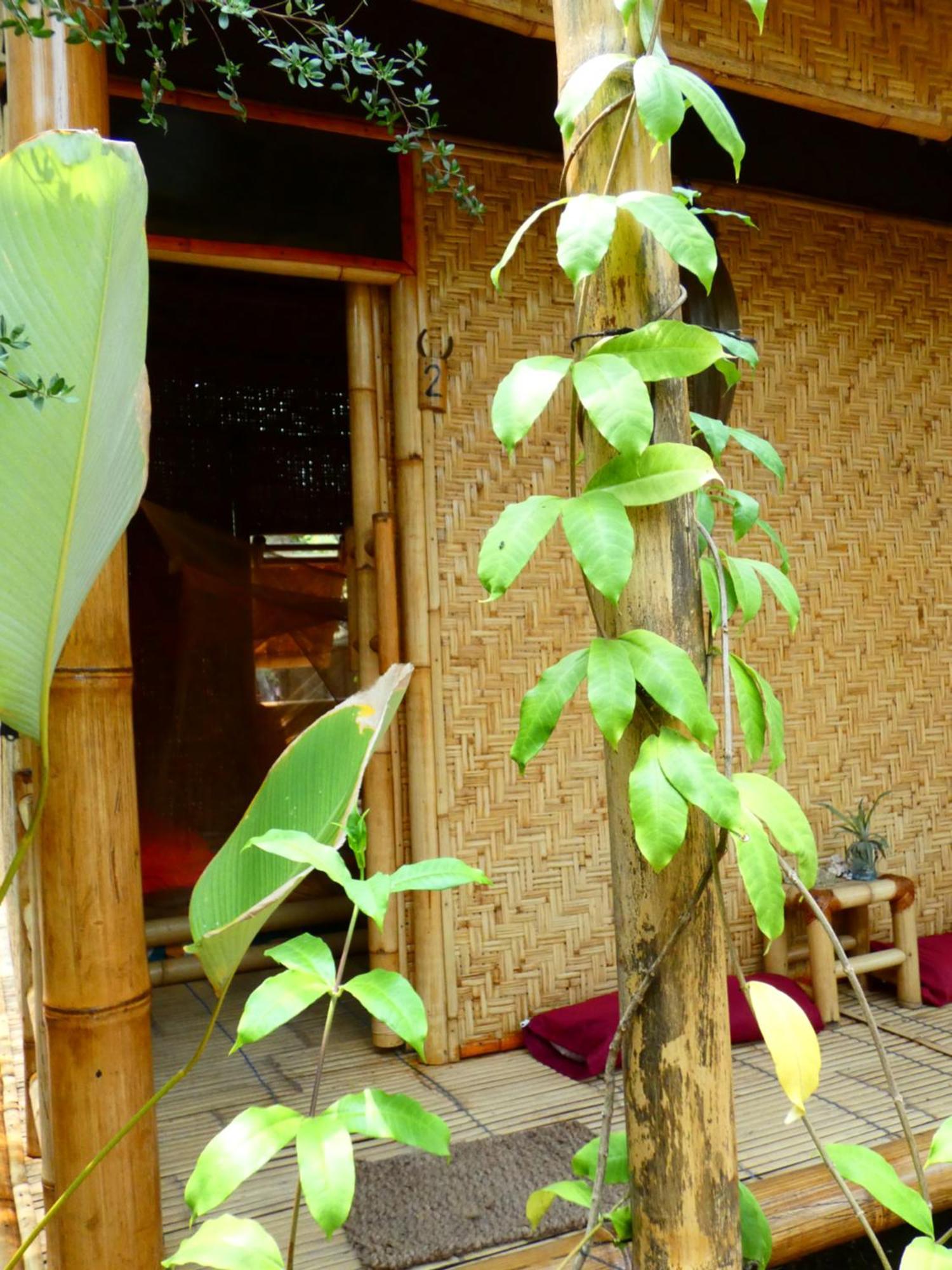 Hostel Uncle Hippie'S Dream Gili Meno Exterior foto